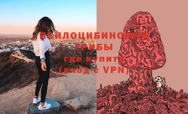 винт Мегион