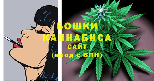 винт Мегион