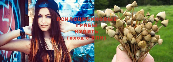 винт Мегион