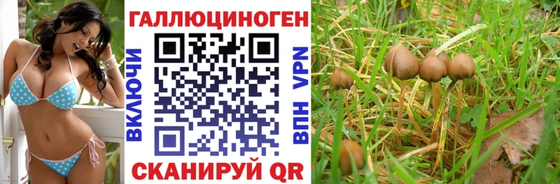 Псилоцибиновые грибы мухоморы  Трёхгорный 